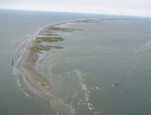 The Chandeleur Islands near the mouth of the Mississippi may be nourished with dredge spoil to shield wetlands from the oil spill spreading in the Gulf.