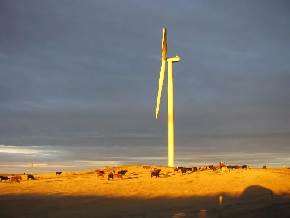 ENR Photo Contest