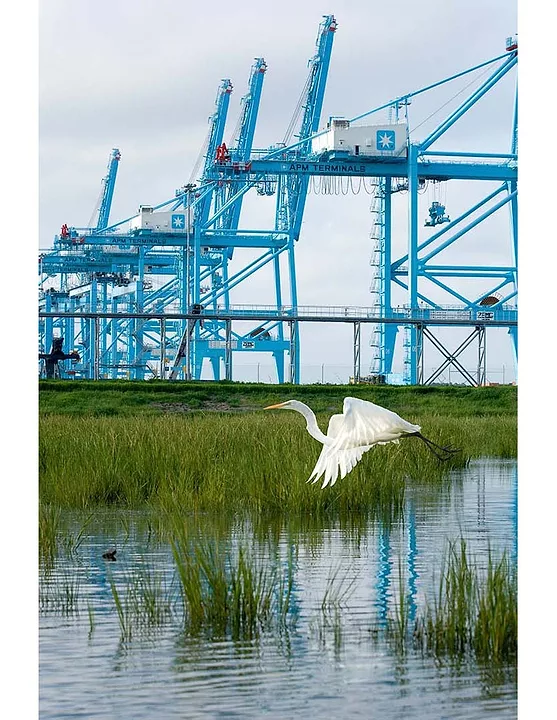 The Marine Container Terminal Wharf