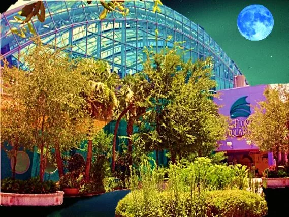 ENR Photo Contest