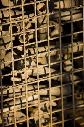 ENR Photo Contest