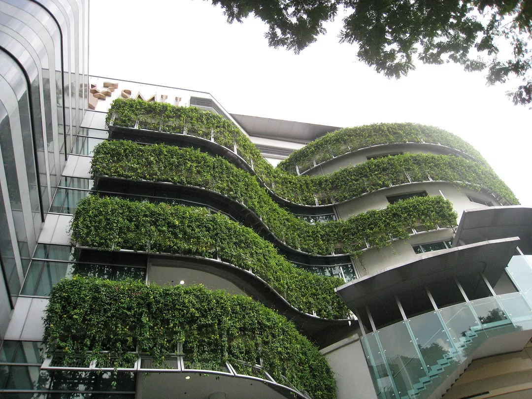 Green wall detail