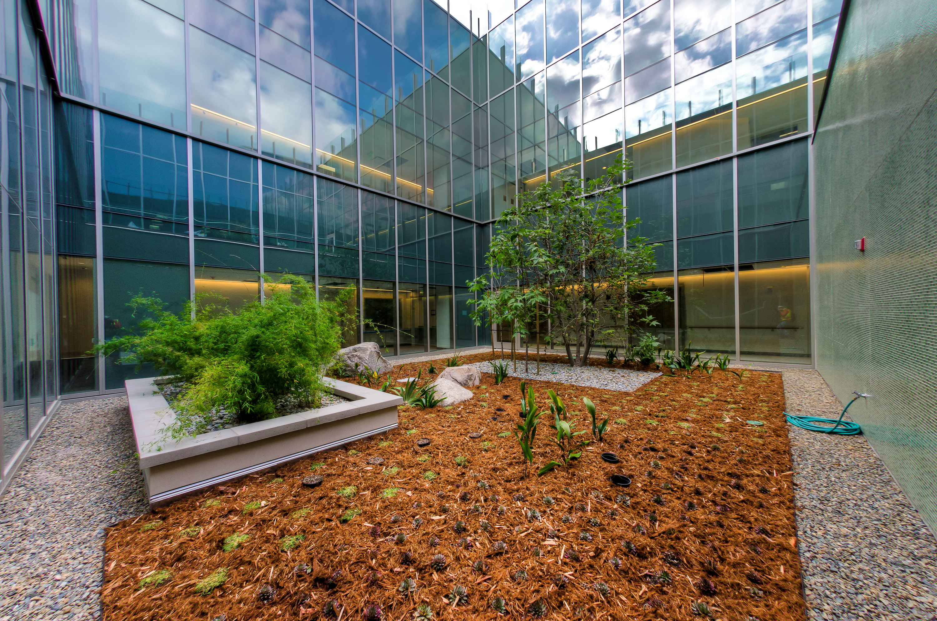 Interior Courtyard
