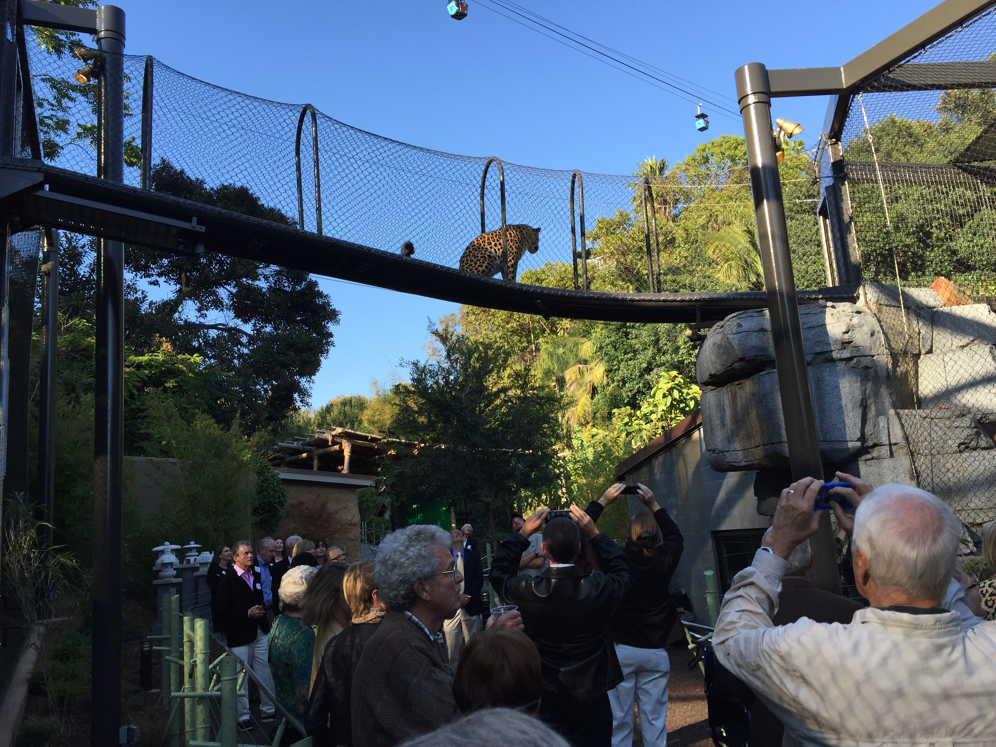 Level 10 Construction builds new Asian Leopard Exhibit at San Diego Zoo