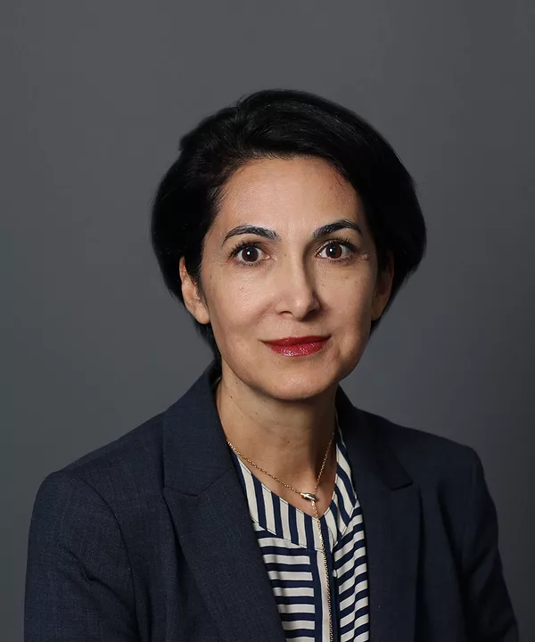 Sima Vajdani Joins LAN as Vice President and Business Group Director for California