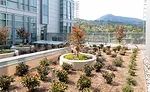 Oak Pavilion at MarinHealth Medical Center | McCarthy Building Cos.