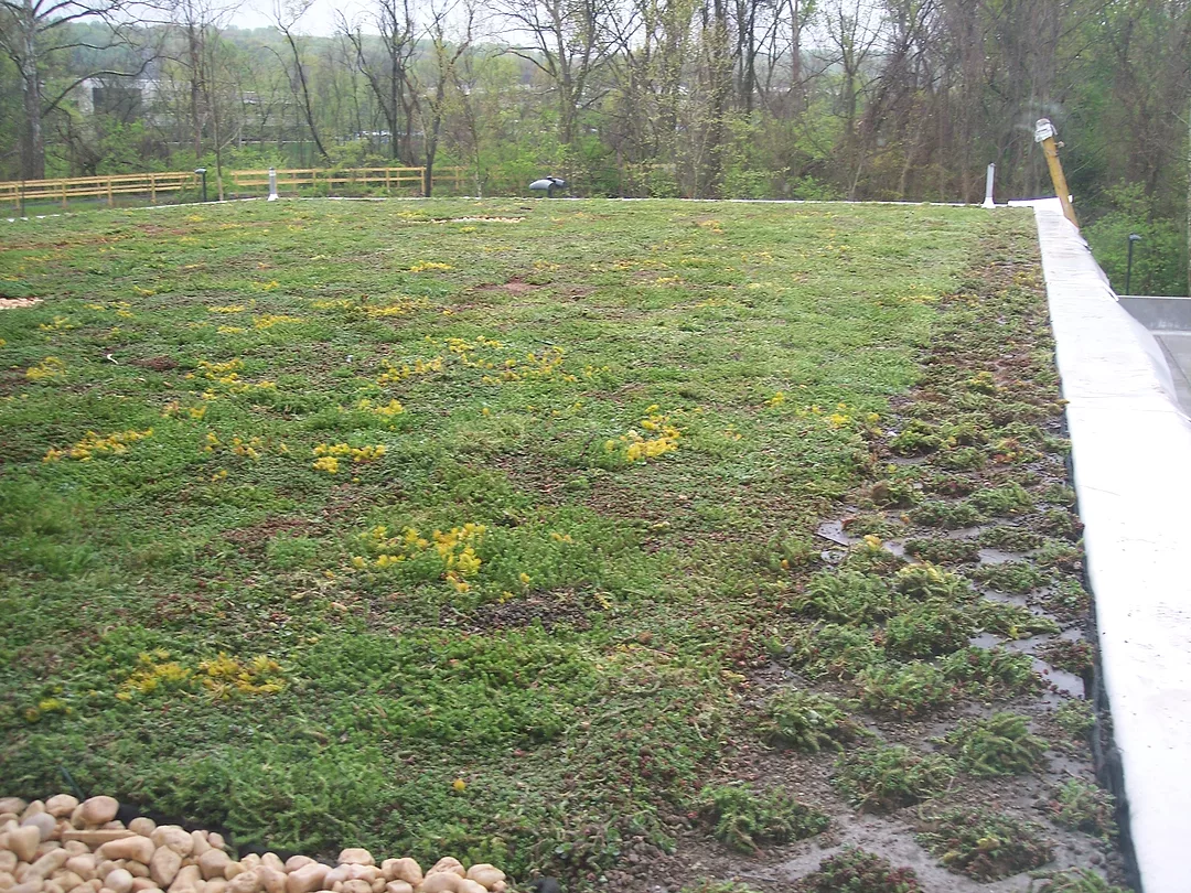 Green Roof at Penn Medicine at Valley Forge