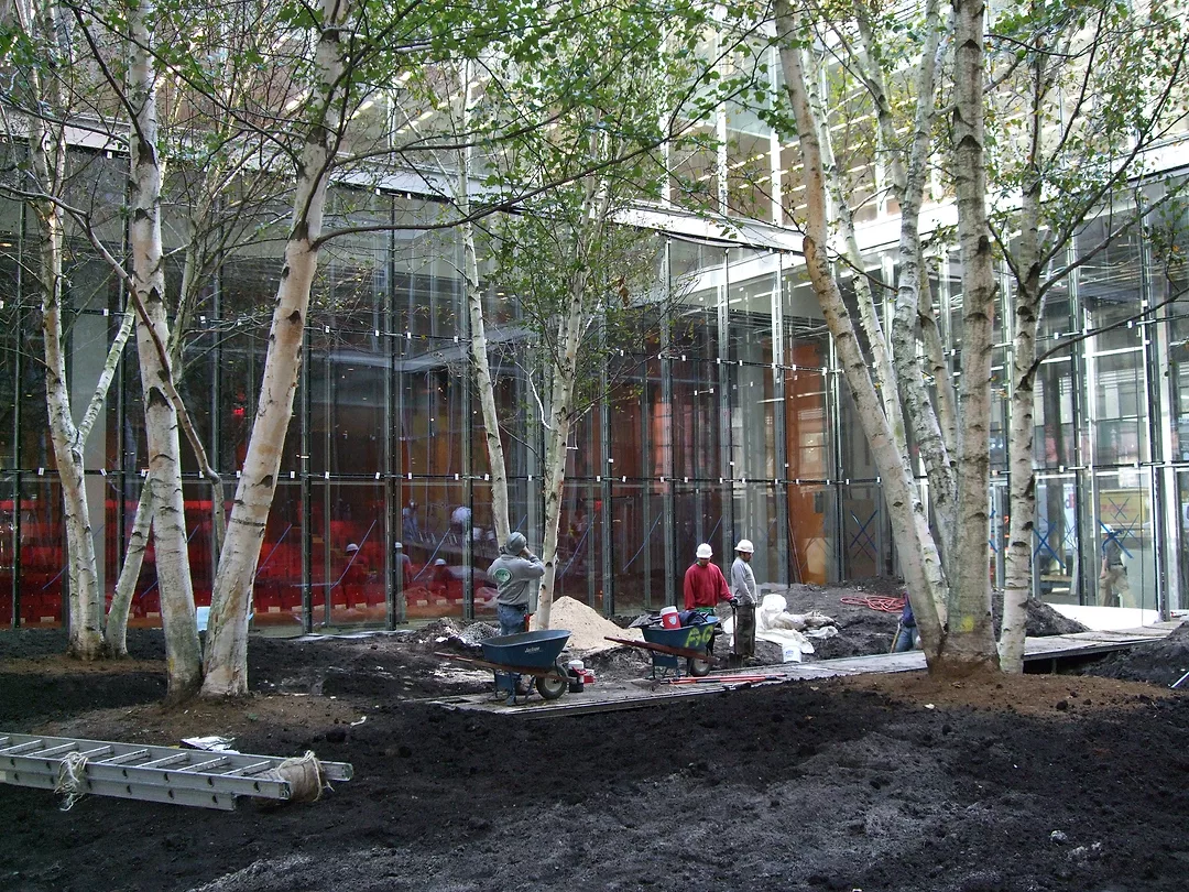 NY Times Building Lobby Garden Tree Planting