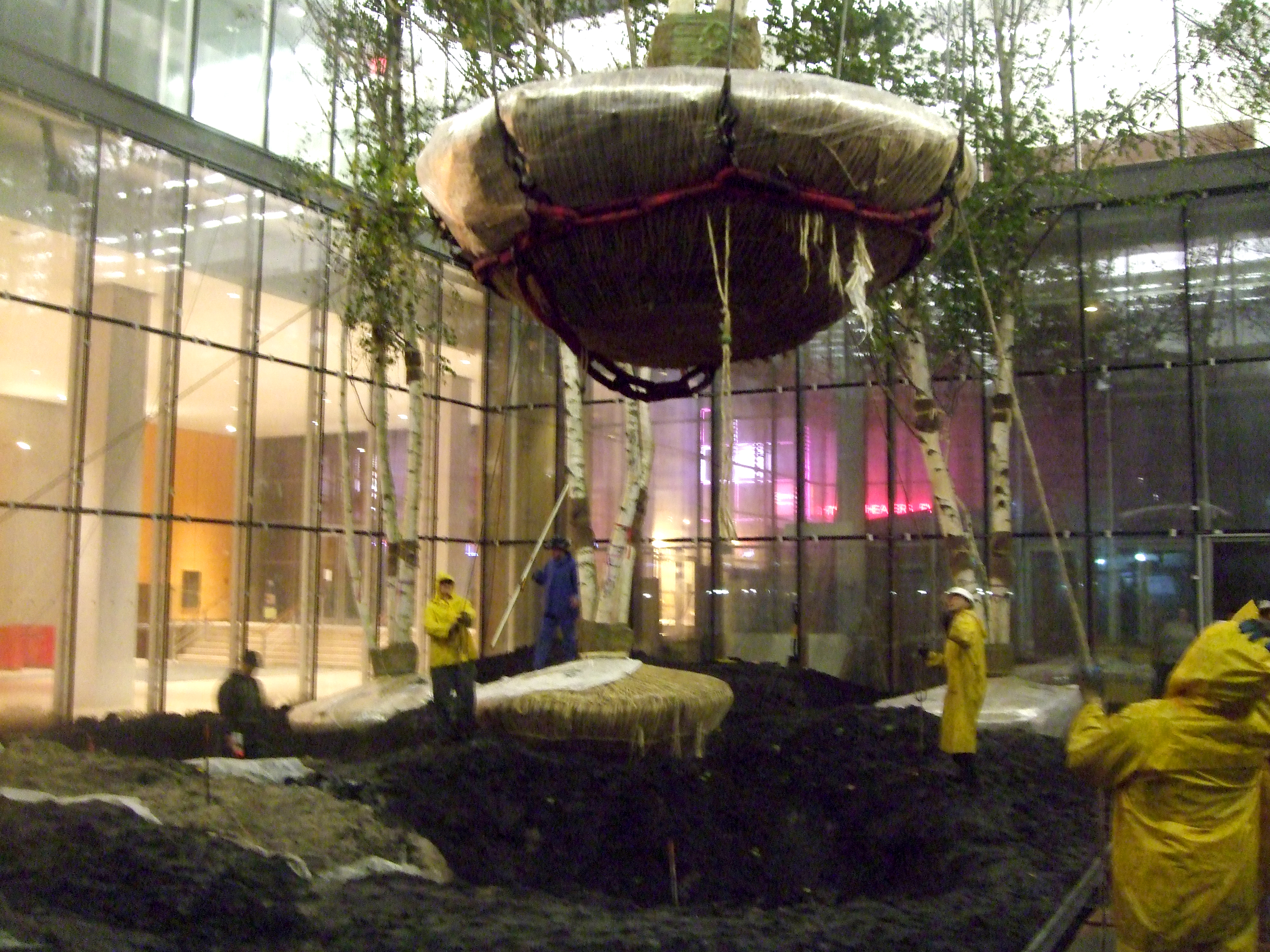 NY Times Building Lobby Garden Tree Planting