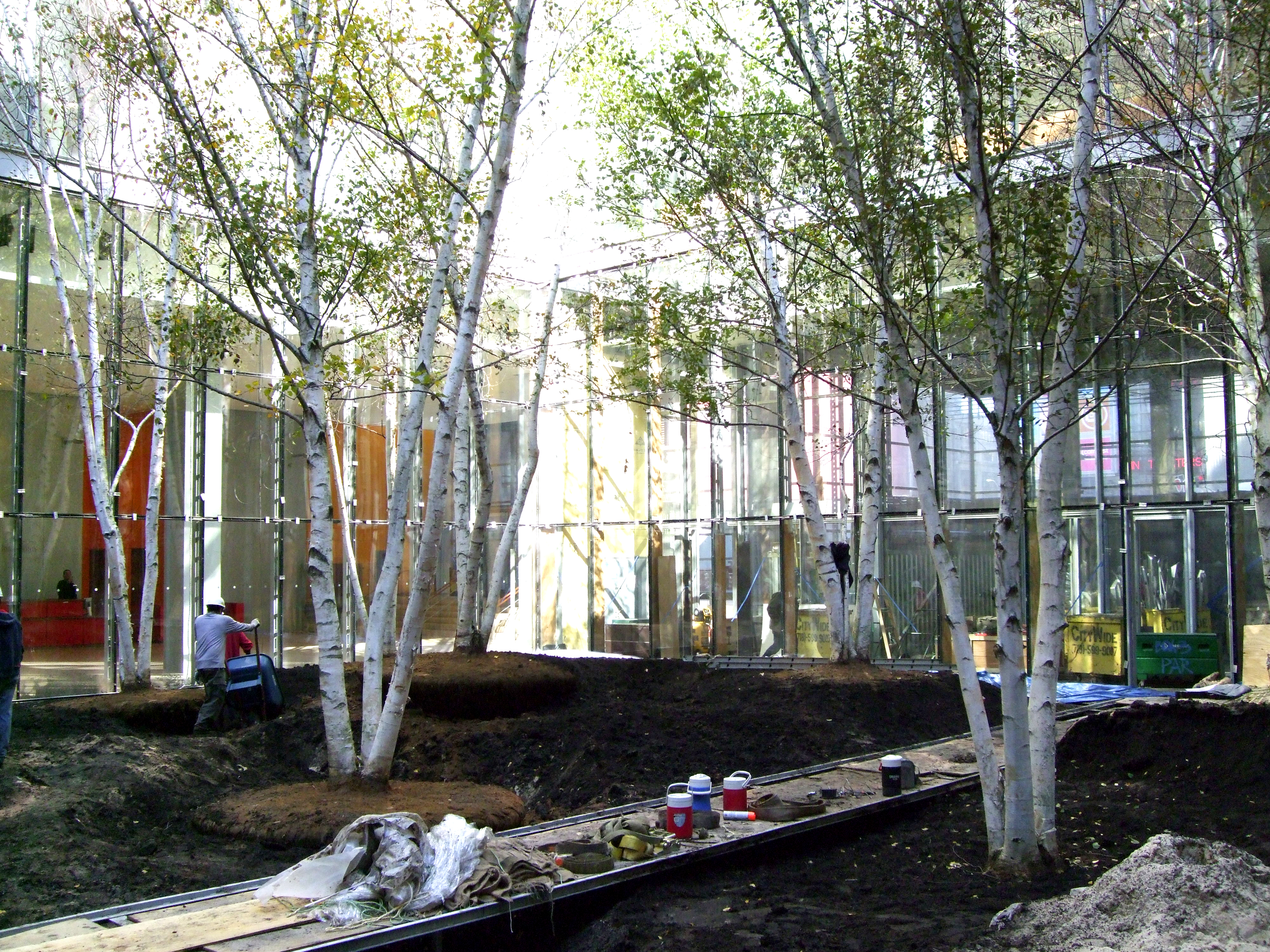 NY Times Building Lobby Garden Tree Planting