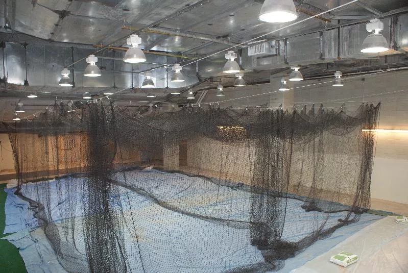 Home Batting Cage