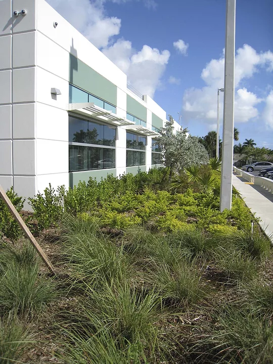 USCIS-Miami sun shades
