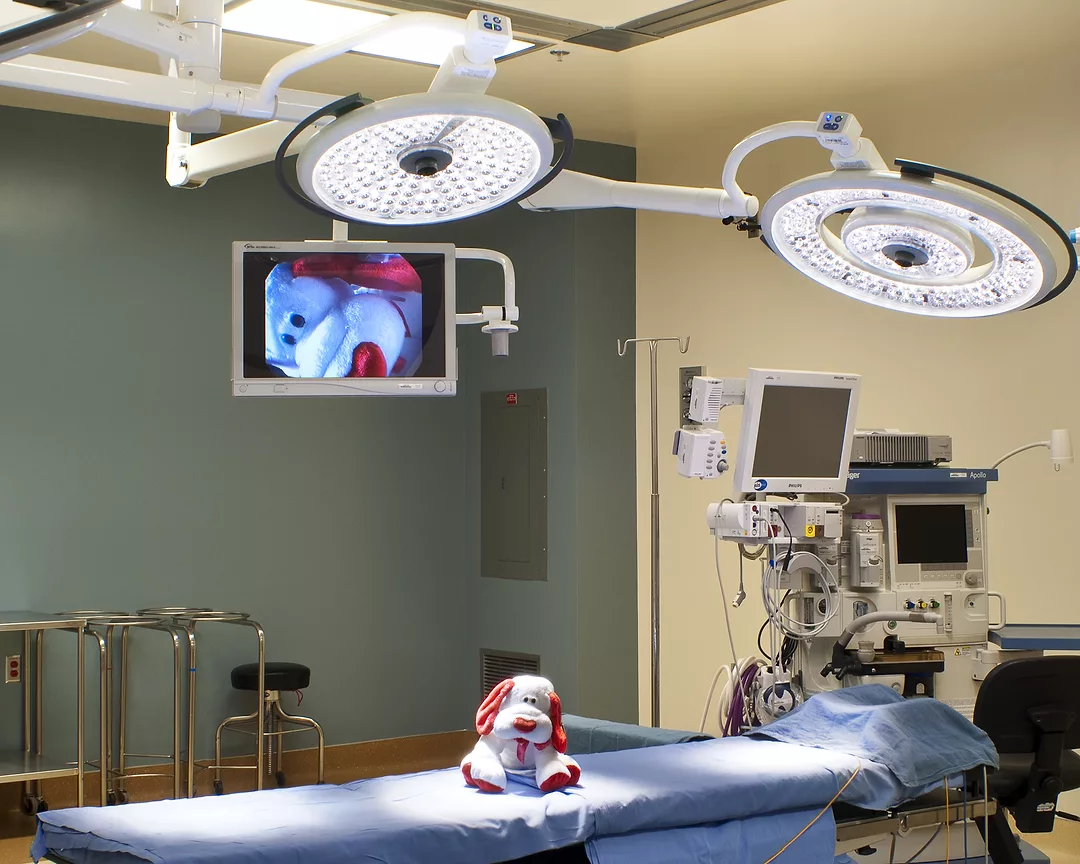 Banner Thunderbird PACU