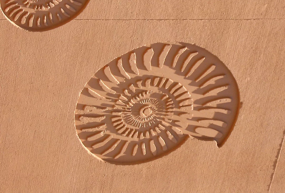 Phoenix Union Bioscience High School, Phoenix, Ariz.
