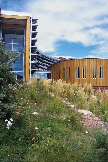 Northern Arizona University Applied Research &amp; Development Building -- Landscape