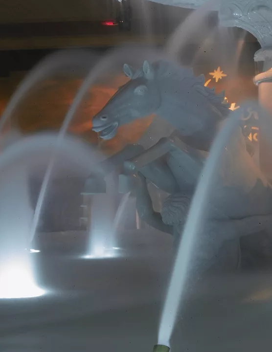 Horse at Fountain