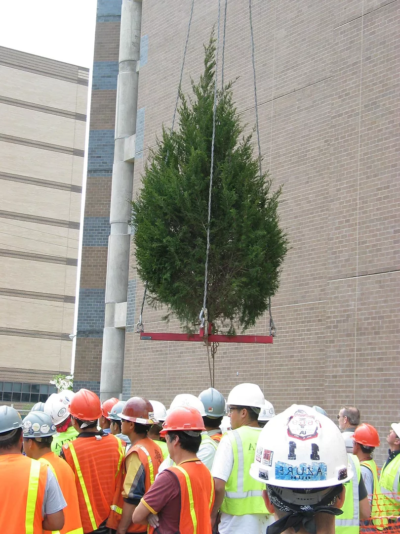 Dallas County Detention Center Topping Out