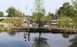 Sydney and Walda Besthoff Sculpture Garden