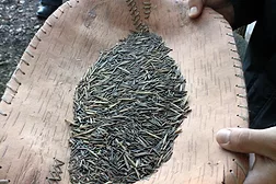Grains of wild rice are processed in a light brown vessel