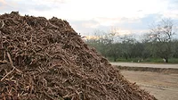 Mote_Woodchips_ENRwebready.jpg Mote_Woodchips_ENRwebready.jpg