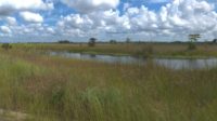 Everglades_Agricultural_Area_ENRwebready.JPG