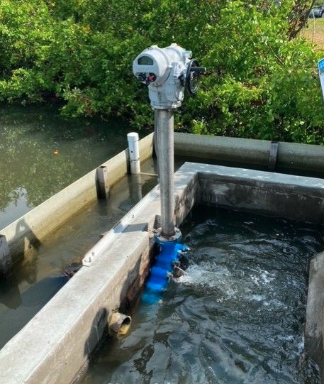 Smart Pond valve