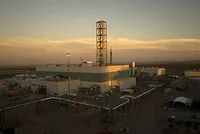 vit plant.jpg vit plant.jpg