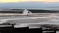 Oyster_beds_ENRweb.jpg Oyster_beds_ENRweb.jpg