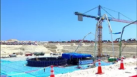 EgyptElDabaaPlant.jpg