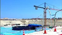 EgyptElDabaaPlant.jpg EgyptElDabaaPlant.jpg