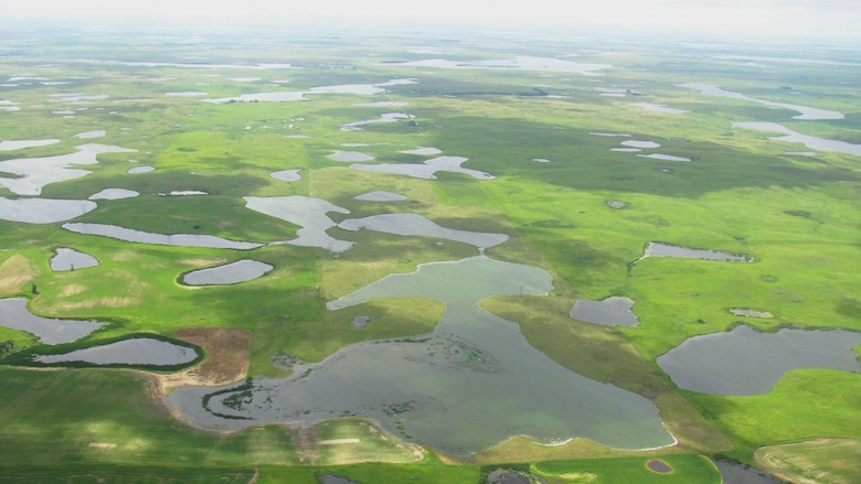 Small bodies of water with irregular borders are interspersed among a stretch of green land, stretching horizontally to the horizon, where it begins to fade out 