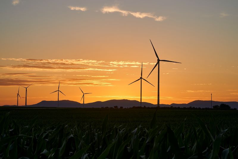 Clean Energy Project Tax Rules Under Climate Change Law Unveiled