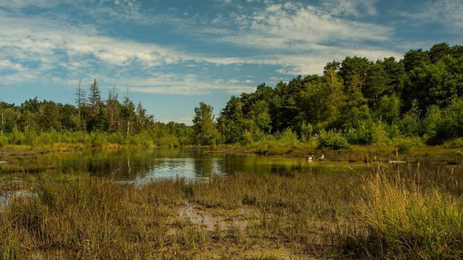 US Supreme Court Ruling Hobbles EPA Powers to Regulate Wetlands