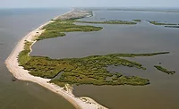 Louisiana_Coastline_900x550.jpg