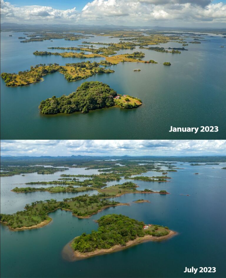 Gatun Lake Water Level