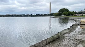 Potomac_seawall_ENRweb.jpg