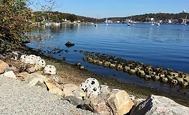 WEB Connecticut College Waterfront Revitalization-13.jpg