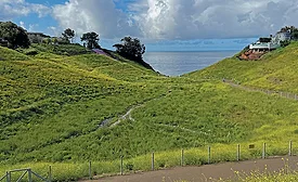 Potrero Canyon Park - Landscaping