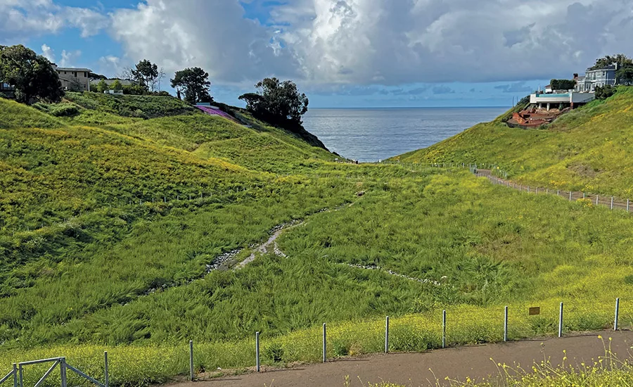 Potrero Canyon Park - Landscaping