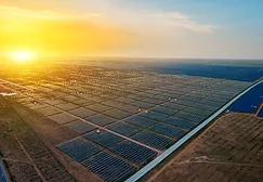 Solar Field