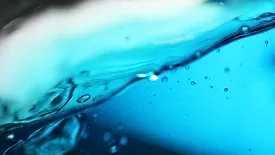 Shimmick water focus.jpg