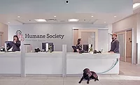 Humane Society of the Pikes Peak Region Vet Clinic Renovation and Addition