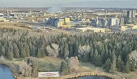 DOW.ALBERTA.jpg