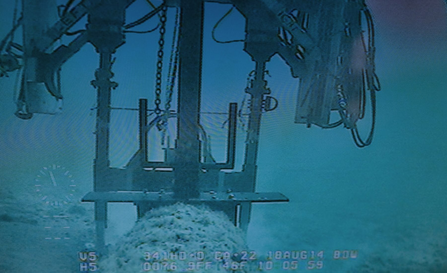 ResizedLine-5-submersible-underwater_9001-(1).jpg