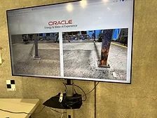 Oracle Rust Detection AI