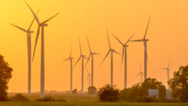 A group of 11 wind turbines are displayed across an expanse of green land, with an orange sunset in the background.