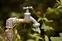 outdoor water-tap-5342544_640.jpg outdoor water-tap-5342544_640.jpg