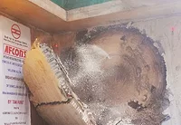 delhirail.jpg delhirail.jpg
