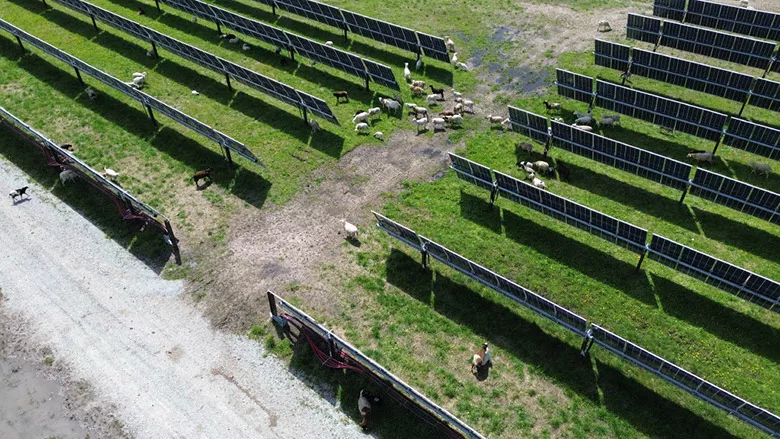 Mammothsolar2.jpg