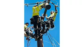 ward linemen